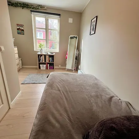 Newly Renovated With Lots Of Light! Apartment