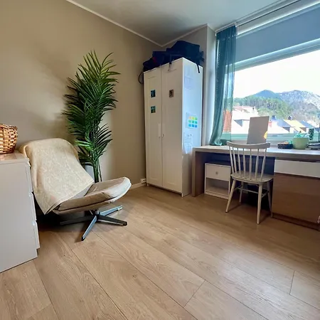 Apartment Newly Renovated With Lots Of Light!